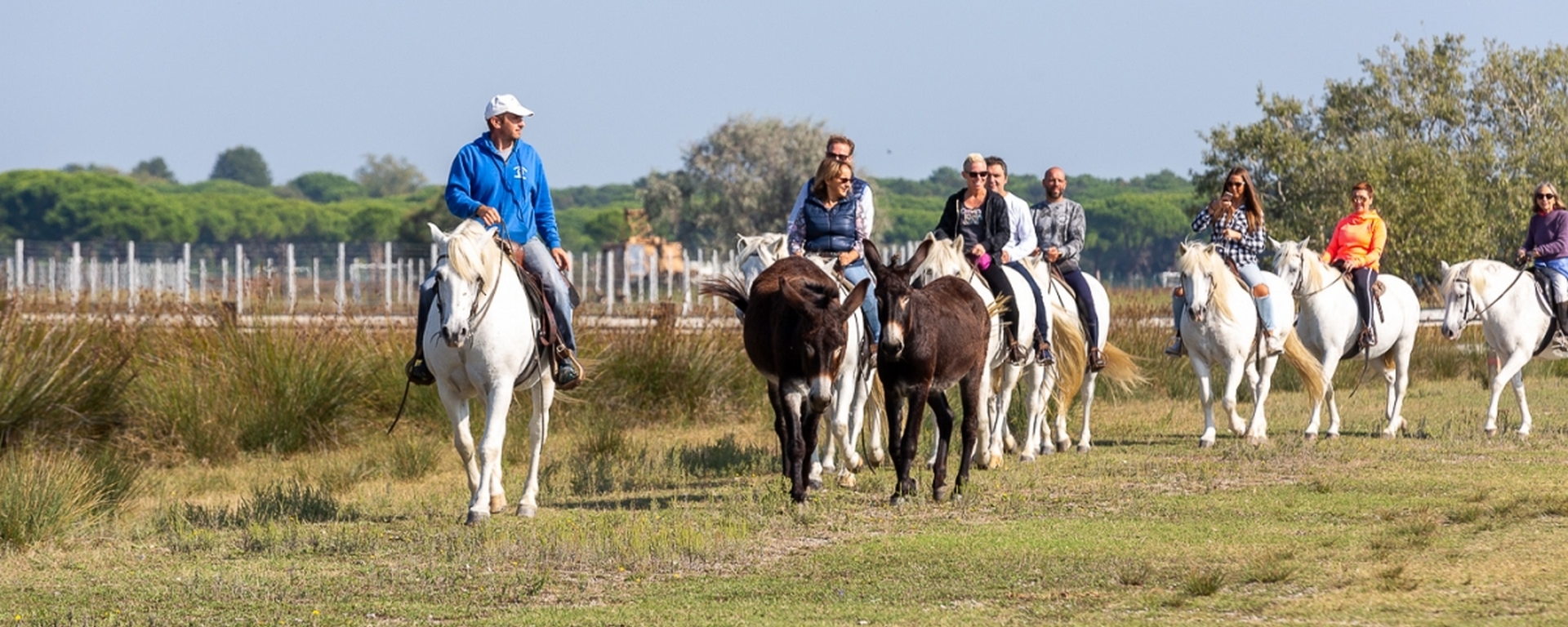 Horseback riding in the midst of nature