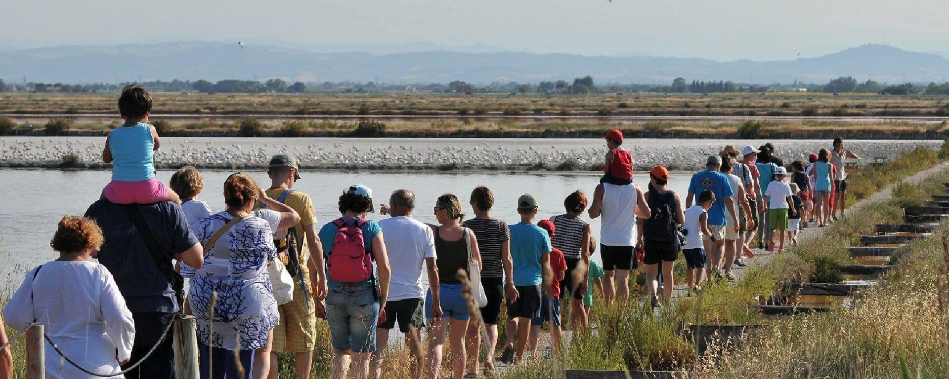 Salt pan walk along the path of the nests